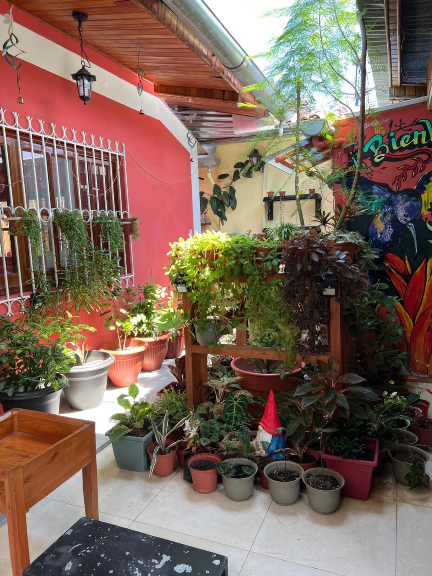 Appartement Casa Micaela à Iquitos Extérieur photo